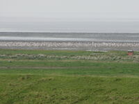 Blick zur Vogelbeobachtungsst.